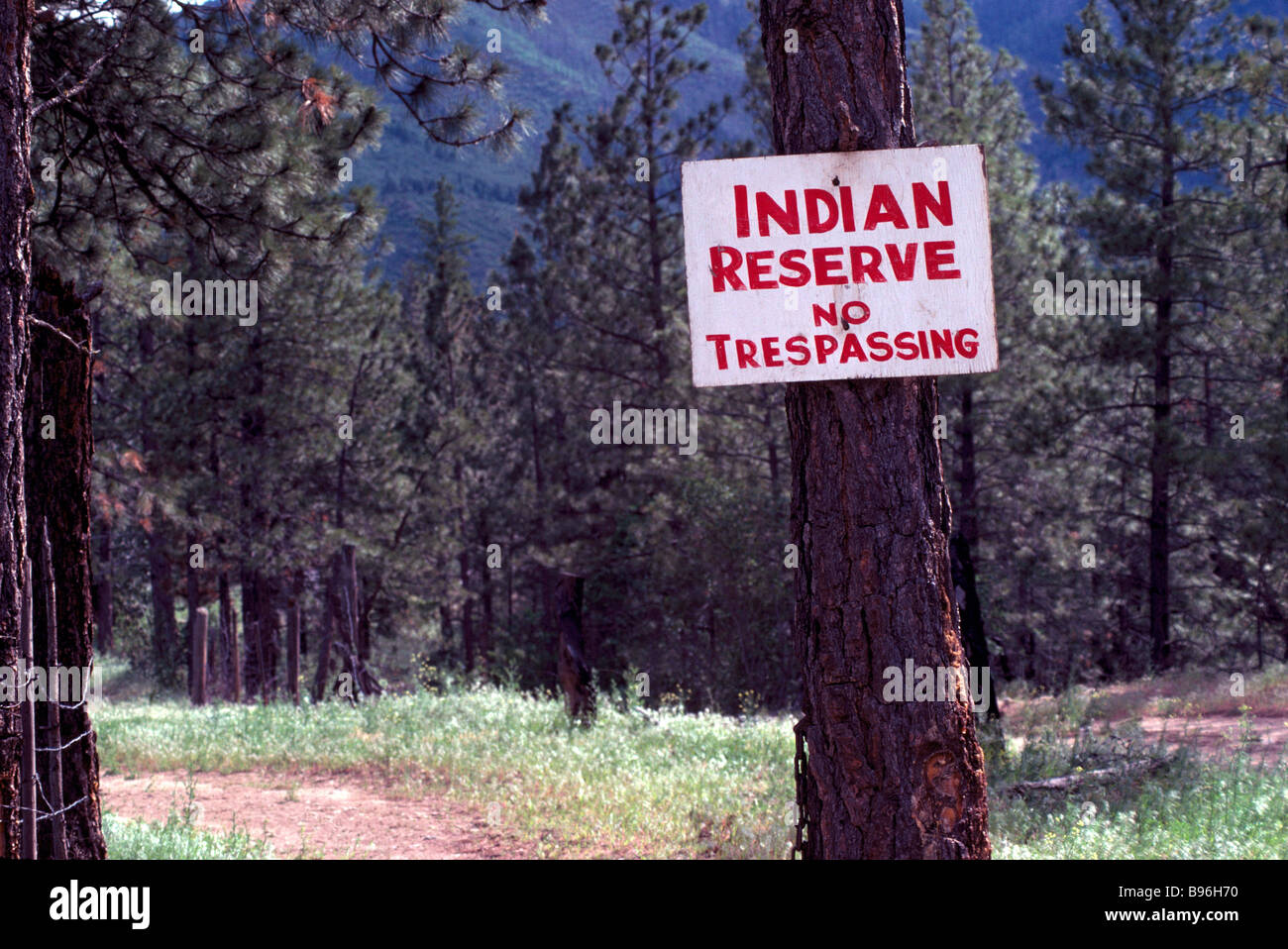 No Trespassing Sign nailed to a Tree on Indian Reserve Land Stock Photo