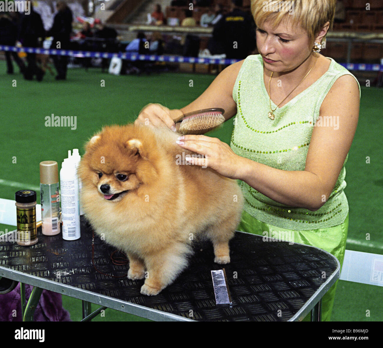 2003 Europe and Russia champion Pomeranian dog named Leonard participating  in the Moscow Mayor s Cup Eurasia 2004 international Stock Photo - Alamy