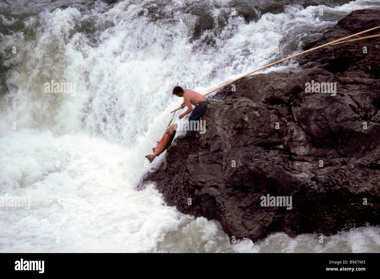 A Native Indian Fisherman fishing for Salmon with a Gaff in the Bulkley