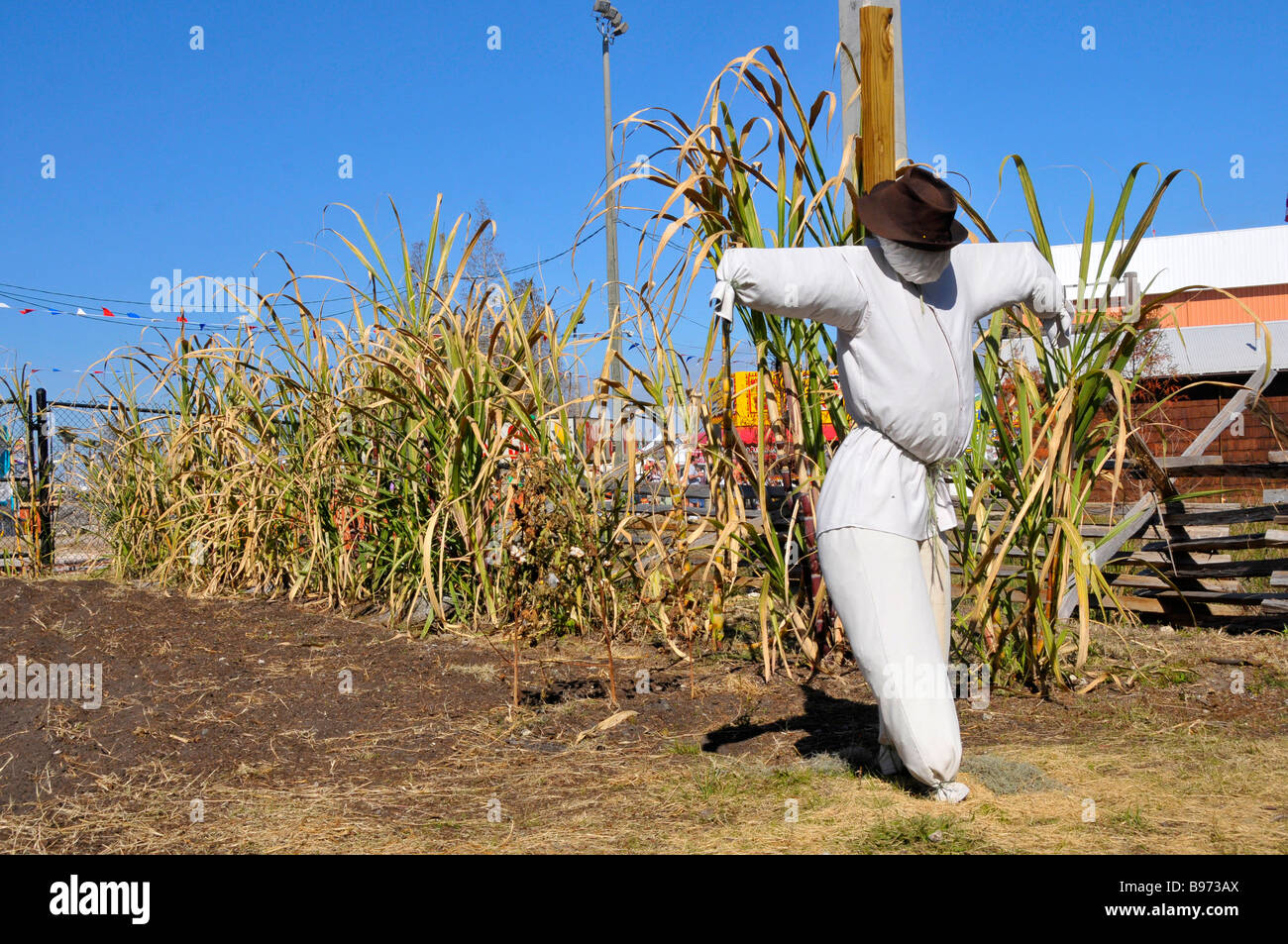 Scarecrow in garden plot at Cracker Country Florida living history museum located on the Florida State Fairgrounds Tampa Stock Photo