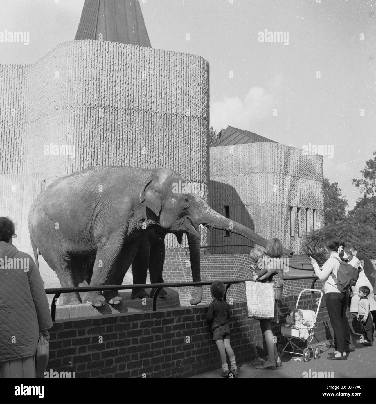 1960s, parents with young children standing by the elephant enclosure at London Zoo in Regents Park, London, England, UK, with elephant house behind. Stock Photo