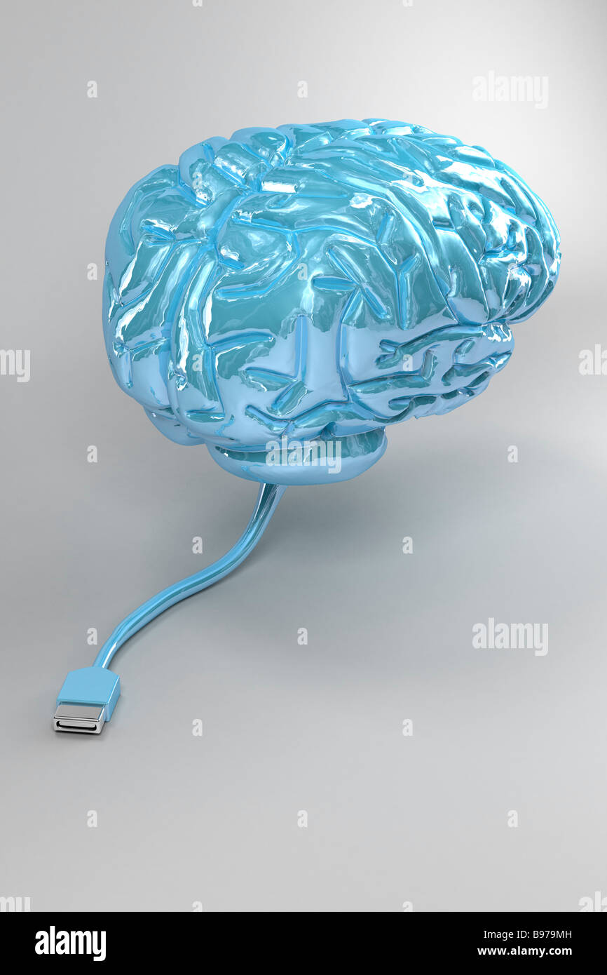 Human brain and IQ test text isolated on white background. 3D illustration  Stock Photo - Alamy