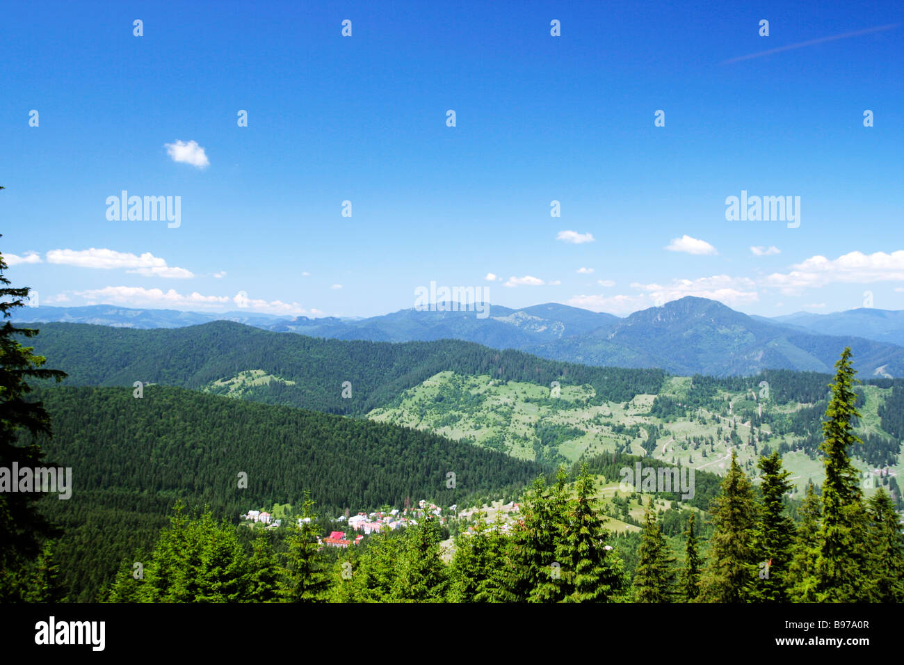 Mountains with green forest landscape Stock Photo - Alamy