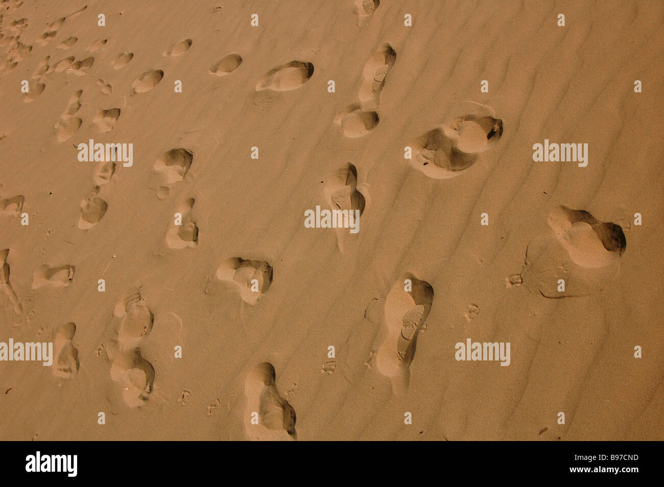beach footprints foot feet toes steps sand footsteps ripples men and ...