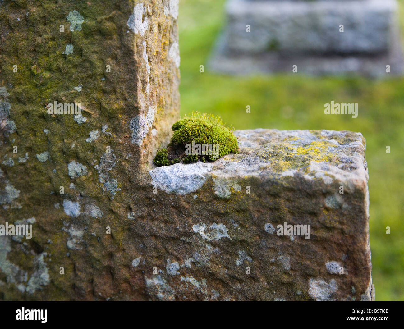 Moss and lichen growing on an old stone cross in a graveyard. Stock Photo