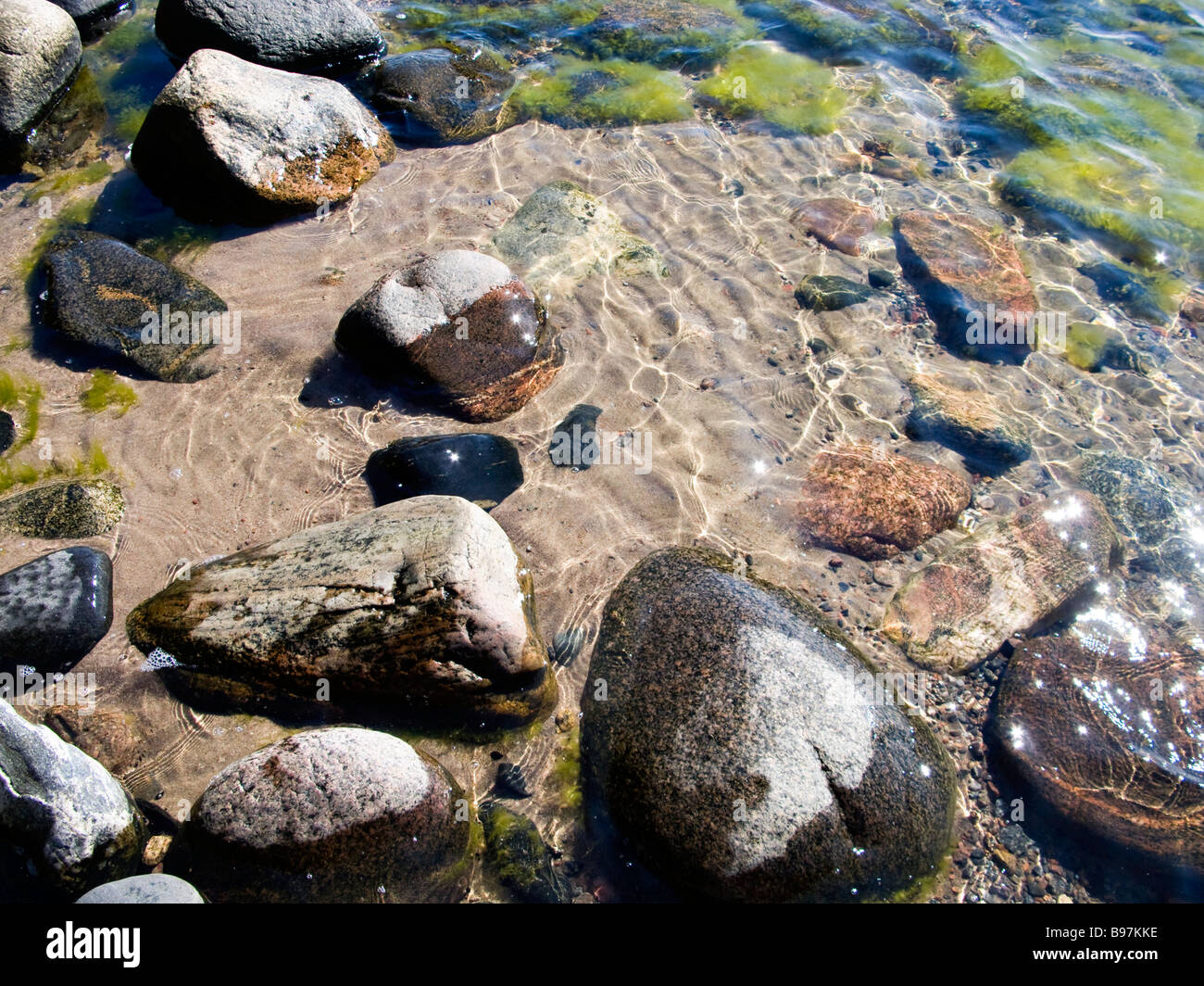 Algae in the sea near the shore Stock Photo - Alamy