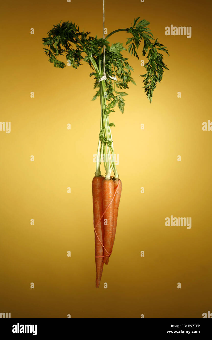 Dangling carrot hires stock photography and images Alamy