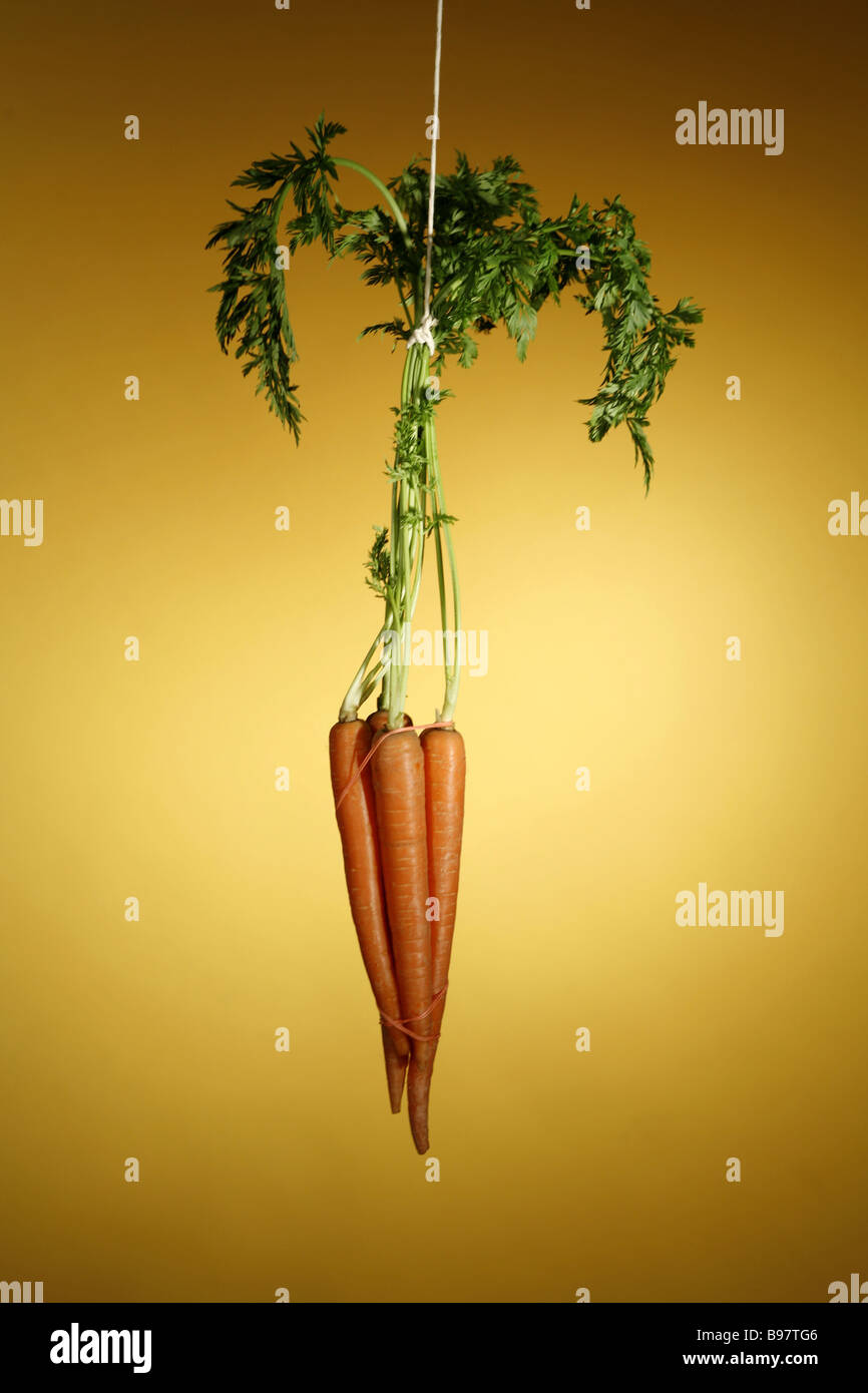 Dangling carrots hires stock photography and images Alamy