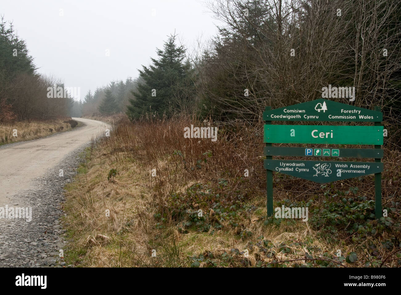 The Kerry Ridgeway through the Kerry (Ceri) Forest, near Newtown, Powys, Wales Stock Photo