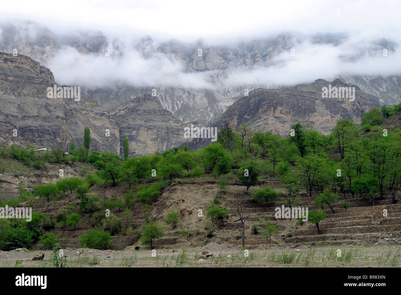 Dagestan. Aul Gamsutl Dagestan. Aul Gamsutl