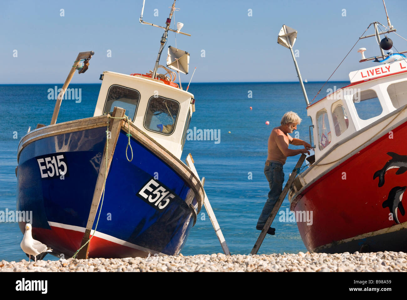 Fishing boats Beer Devon UK Stock Photo Alamy