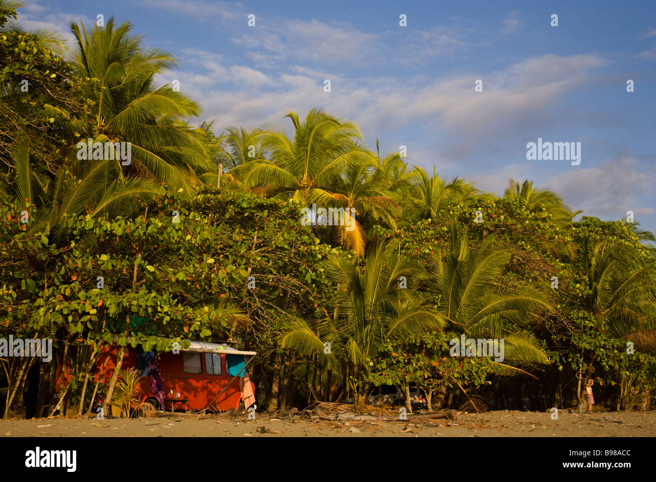 Orange Volkswagen van camping along the beach with palm trees in Dominical, Costa Rica. Stock Photo