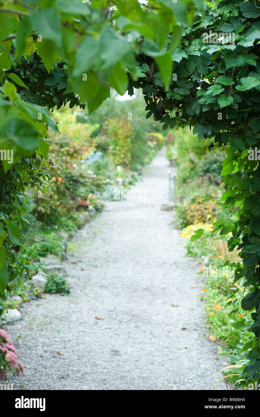 Footpath lined with lush foliage Stock Photo