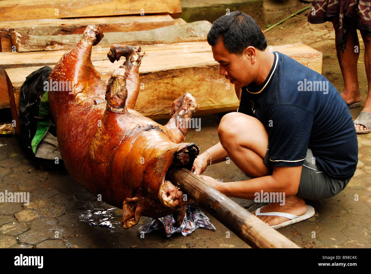 BABI GULING Sacred bbq pig for offering Bali Indonesia BABI GULING Sacred bbq pig for offering Bali Indonesia