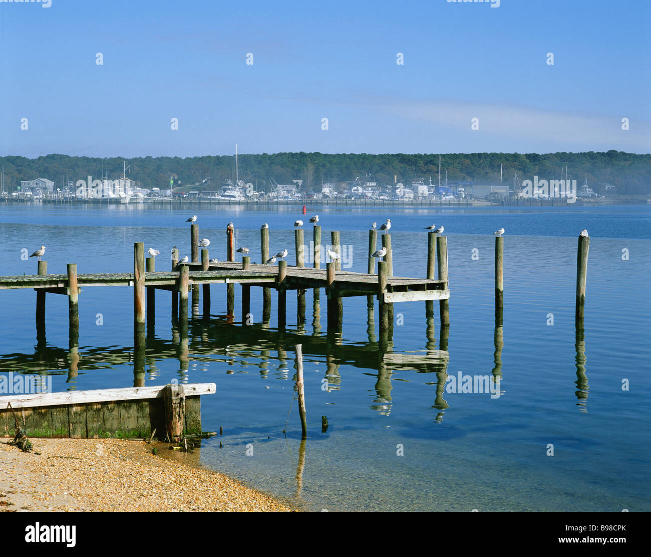 Shinnecock hires stock photography and images Alamy