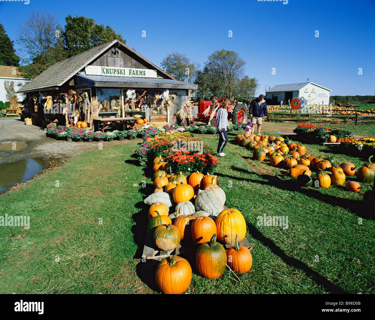 Long island america autumn hires stock photography and images Alamy