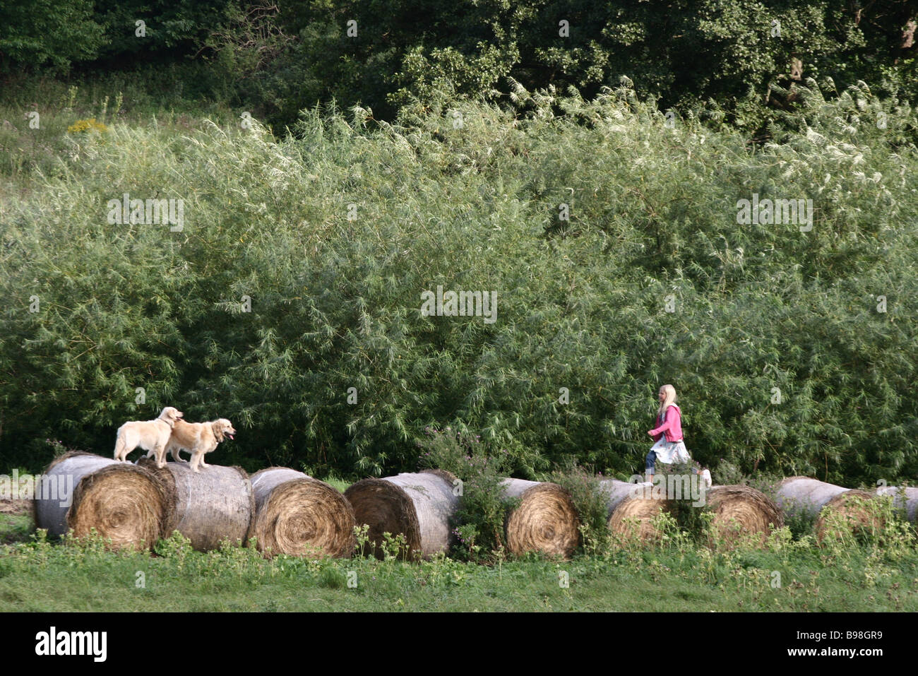 Girls playing outdoors with a dog in denmark 2006 Stock Photo Alamy