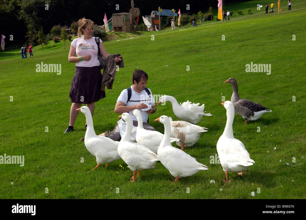 Festival goers feeding the geese at Bestival. Isle of Wight. UK Stock ...