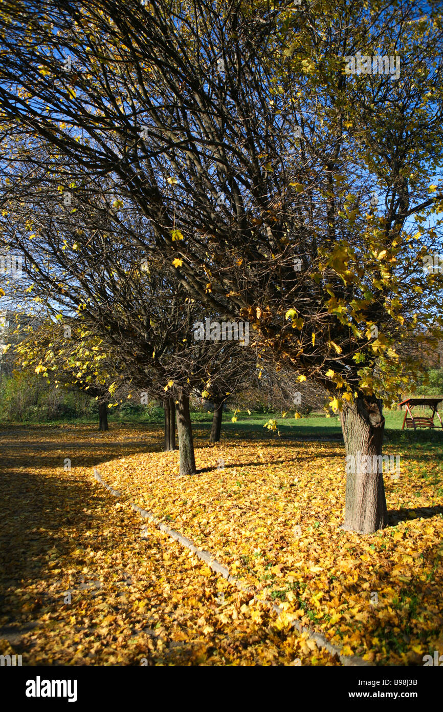 Autumn scenery Stock Photo