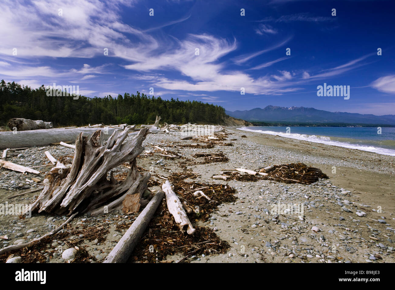 Olympic National Park viewed from beach at Dungeness National Recreation Area, Sequim, Washington, USA Stock Photo