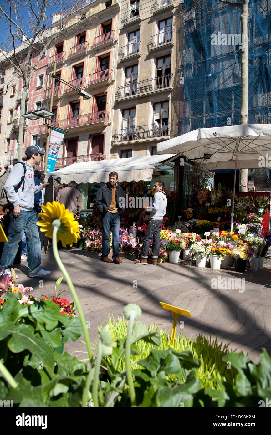 Flowers on La Rambla in Barcelona Stock Photo Alamy