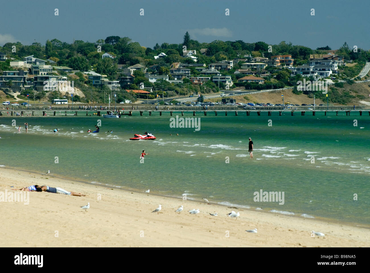 Are Dogs Allowed At Frankston Beach