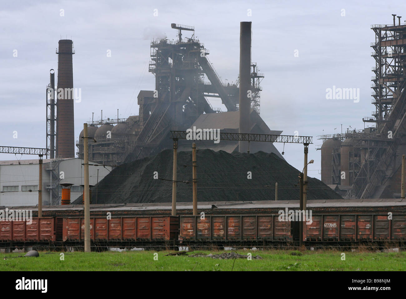 Yalangoch erkak jinsiy olatni