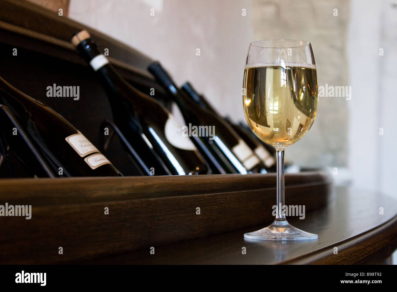 A glass of white wine, Tanzberg vineyard,Mikulov,Czeck Republic. Stock Photo