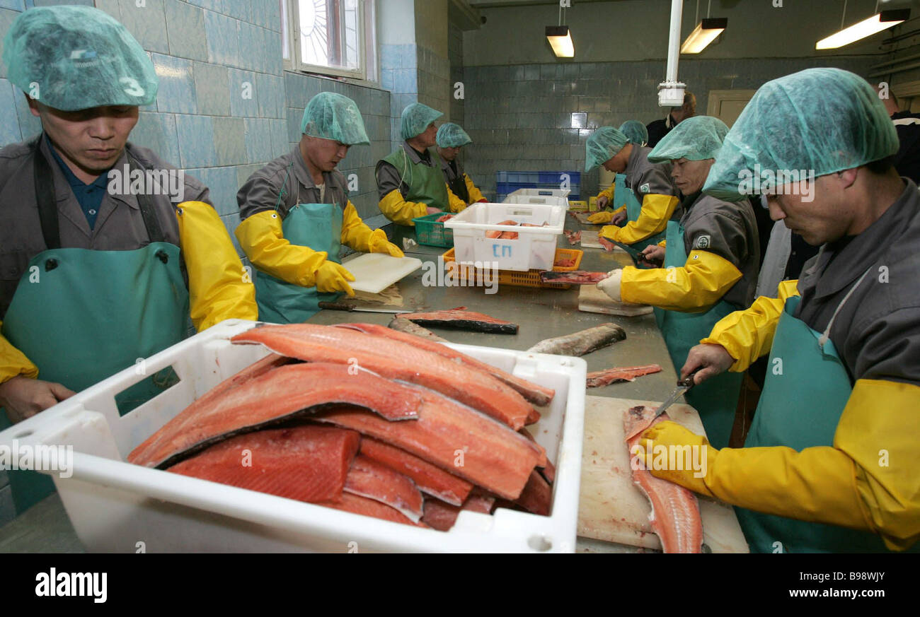 Fish Processing Stock Photos & Fish Processing Stock Images Alamy