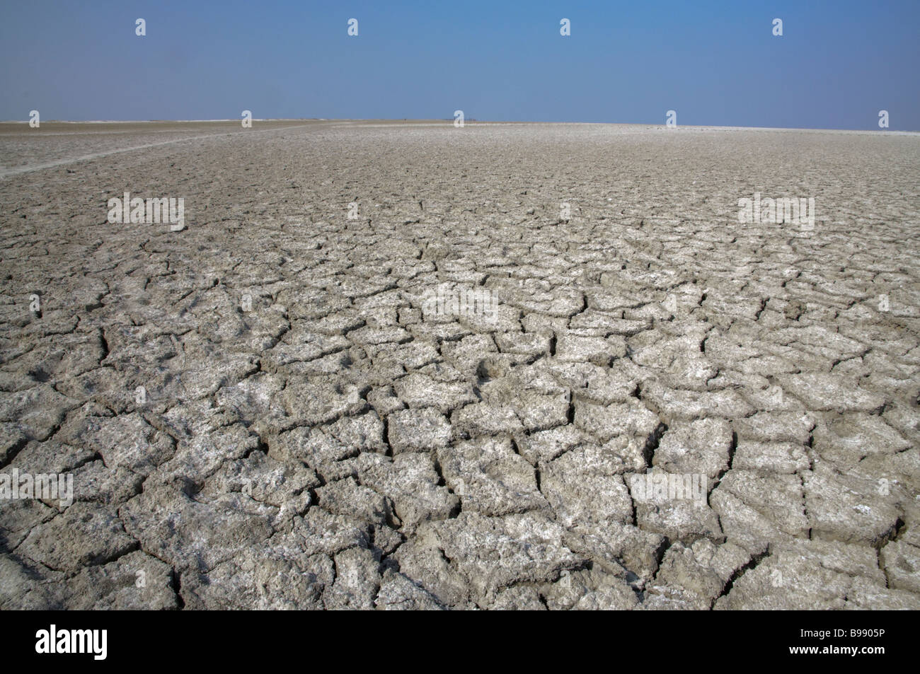 The dred out part of Sambhar lake a salt desert in Rajasthan India Stock Photo