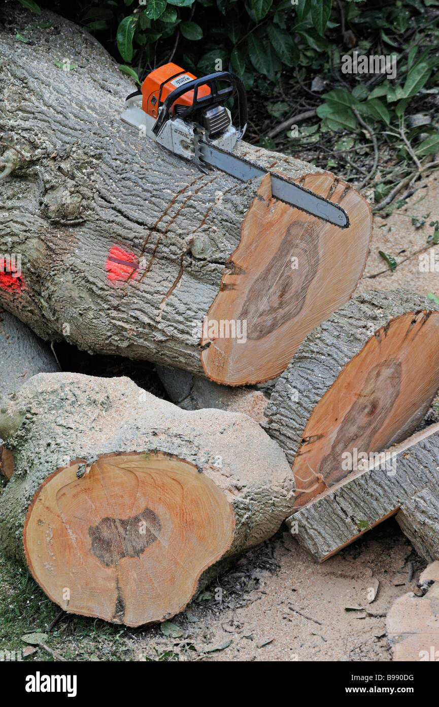 Chainsaw chain saw stihl hi-res stock photography and images - Alamy