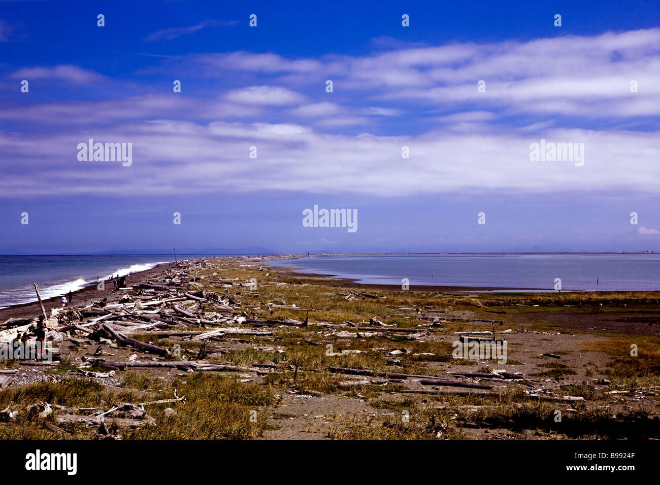 Dungeness Spit, hard to find full view taken from trailhead, hike full five and a half miles to lighthouse.  Sequim, Washington. Stock Photo