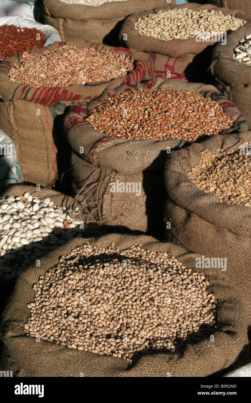 Sacks of beans for sale at local market in Ooty Tamil Nadu India Stock