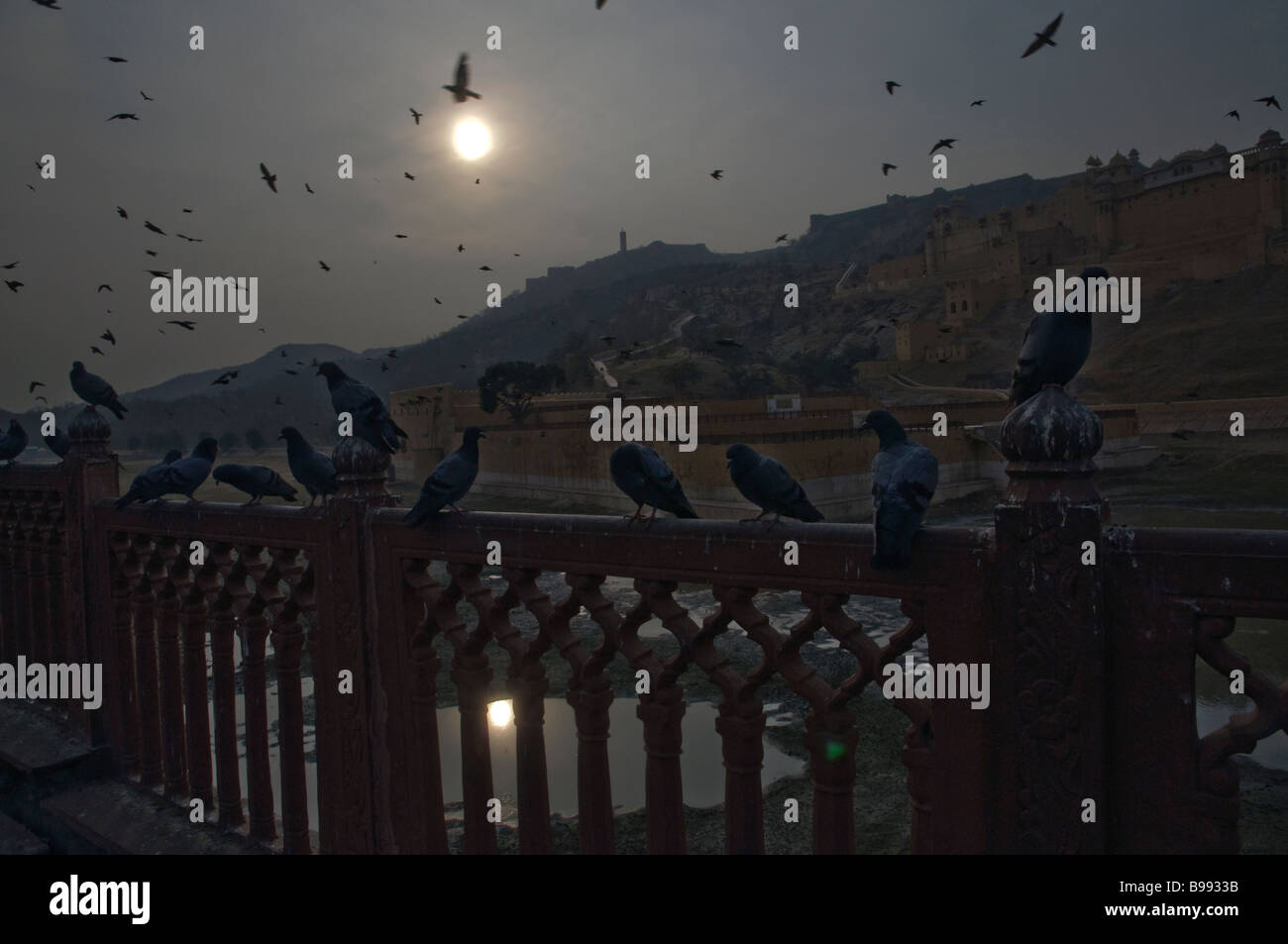 Mysterious scene with dark silhouettes of flying pigeons in Jaipur India Stock Photo