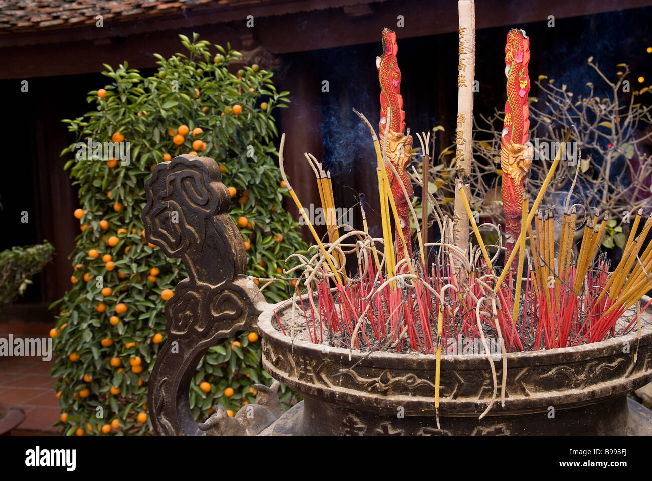 Insence tree hi-res stock photography and images - Alamy