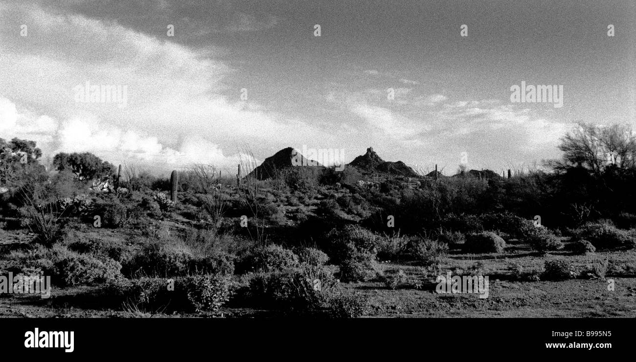 Black and white panoramic image hi-res stock photography and images - Alamy
