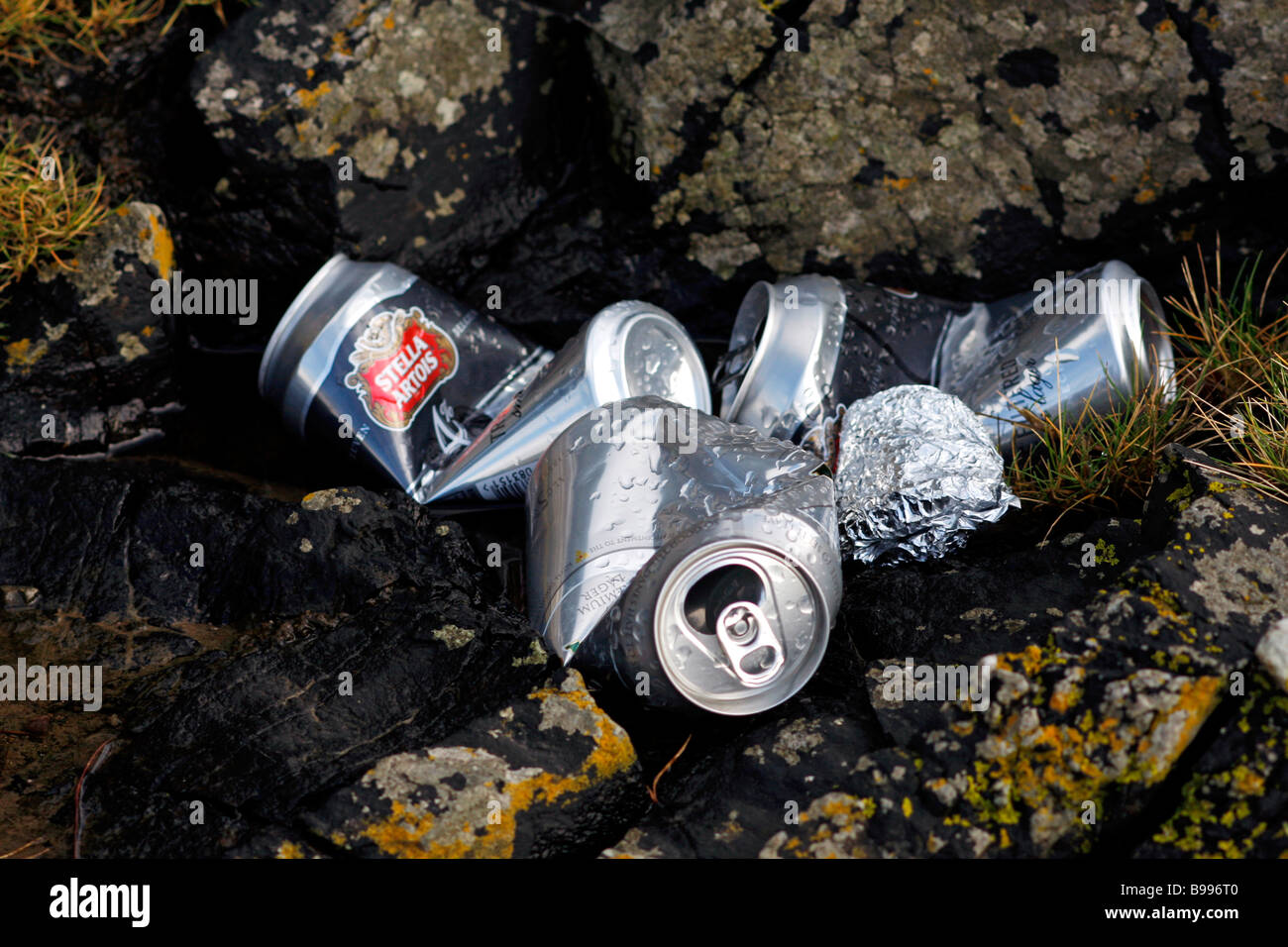 Trash or litter old beer cans Stock Photo Alamy