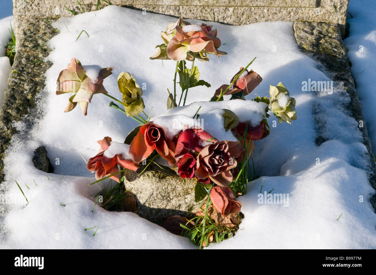 Frozen flowers in the snow on a gravestone in Oxfordshire Stock Photo