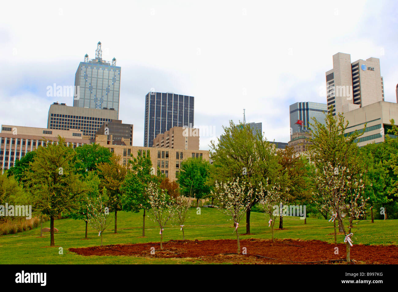 Arbor Day ribbons and shovels for ground breaking and tree planting ...