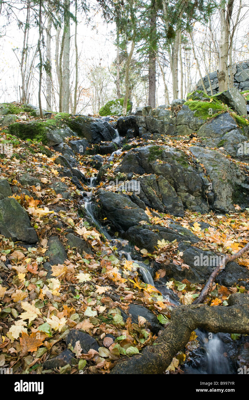 Small stream flowing downhill, low angle view Stock Photo