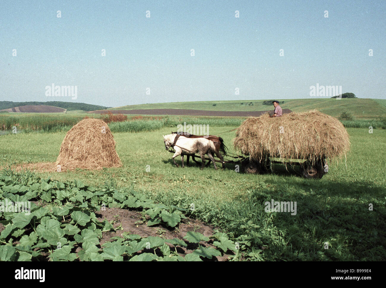 Prokhorovka Stock Photos & Prokhorovka Stock Images - Alamy