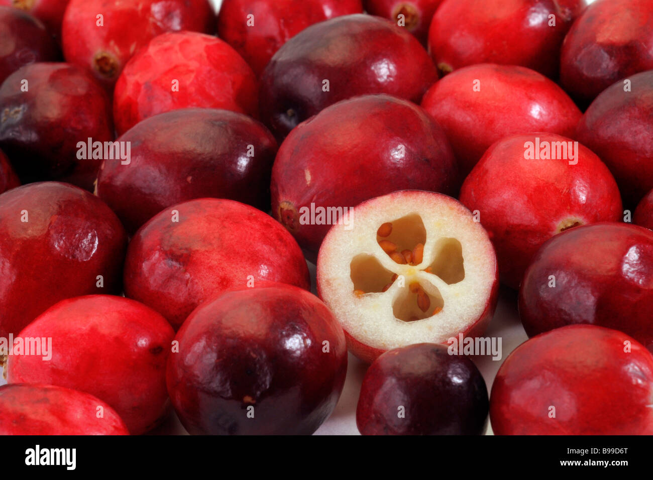 American Cranberry (Vaccinium macrocarpon, Oxycoccus macrocarpus). Whole berries with one halved berry seen from above Stock Photo