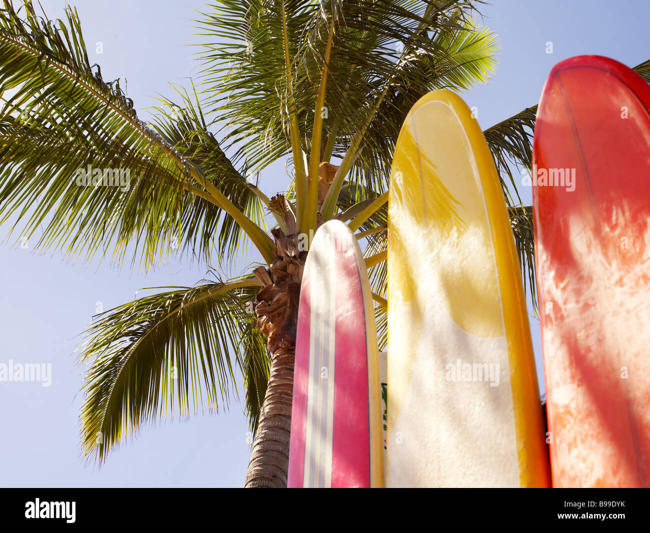 Surfboards In Sand High Resolution Stock Photography and Images Alamy