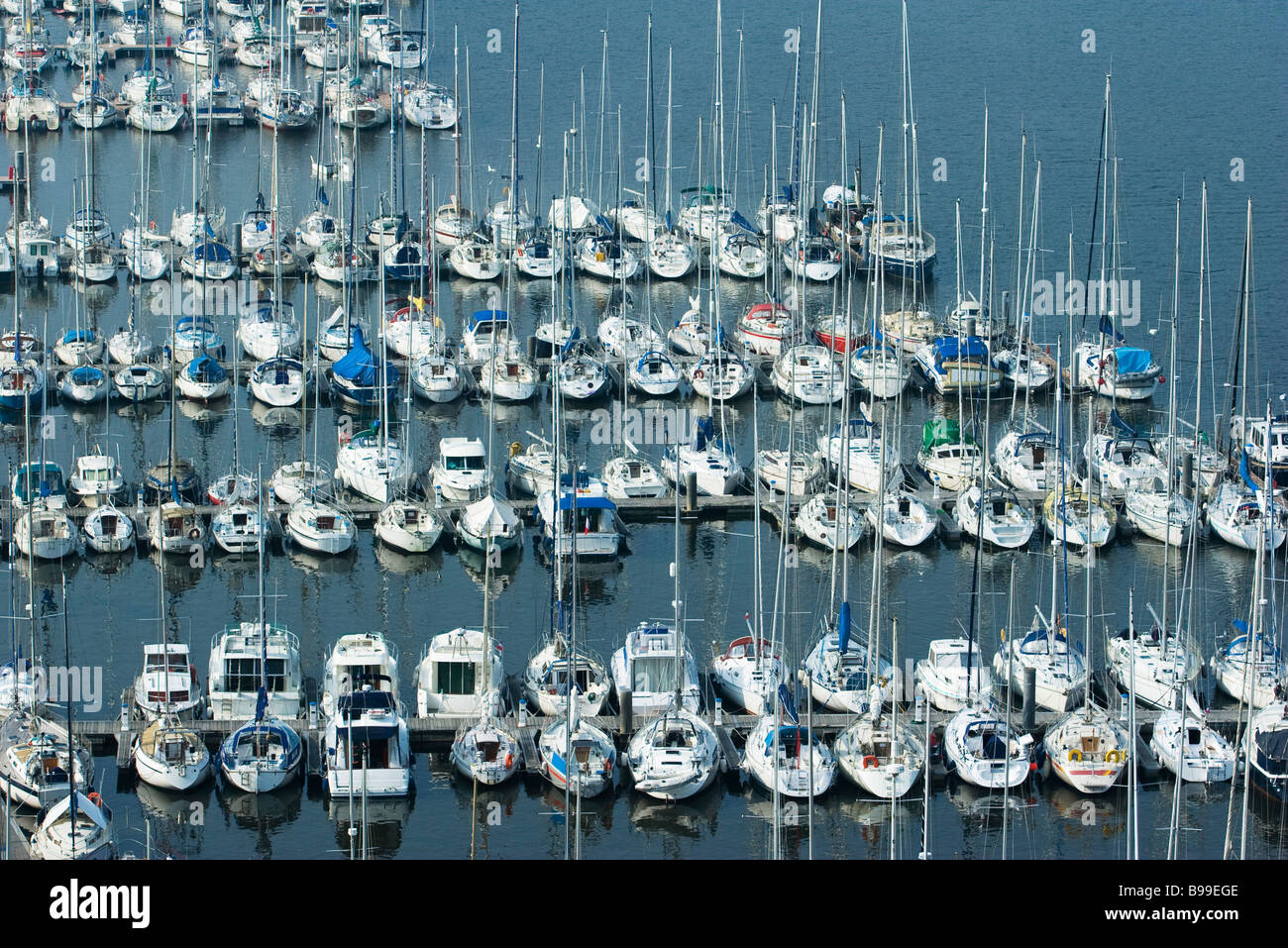 Boats moored in marina, Brittany, France Stock Photo