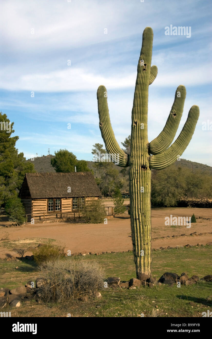 Stock photo of Pioneer Living History Village with saguaro cactus in foreground Stock Photo