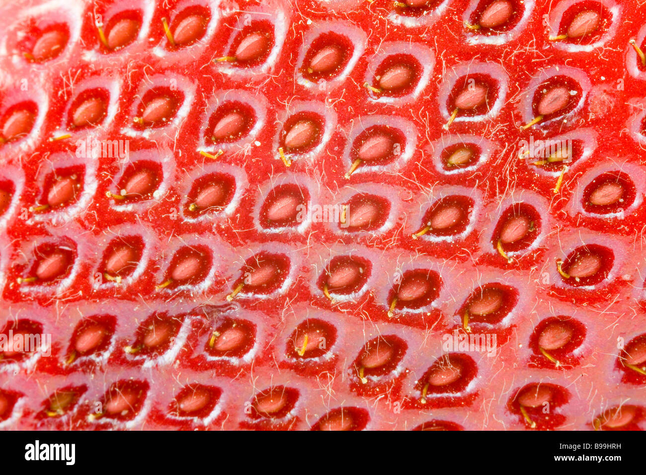 the abstract background from red strawberry macro Stock Photo - Alamy