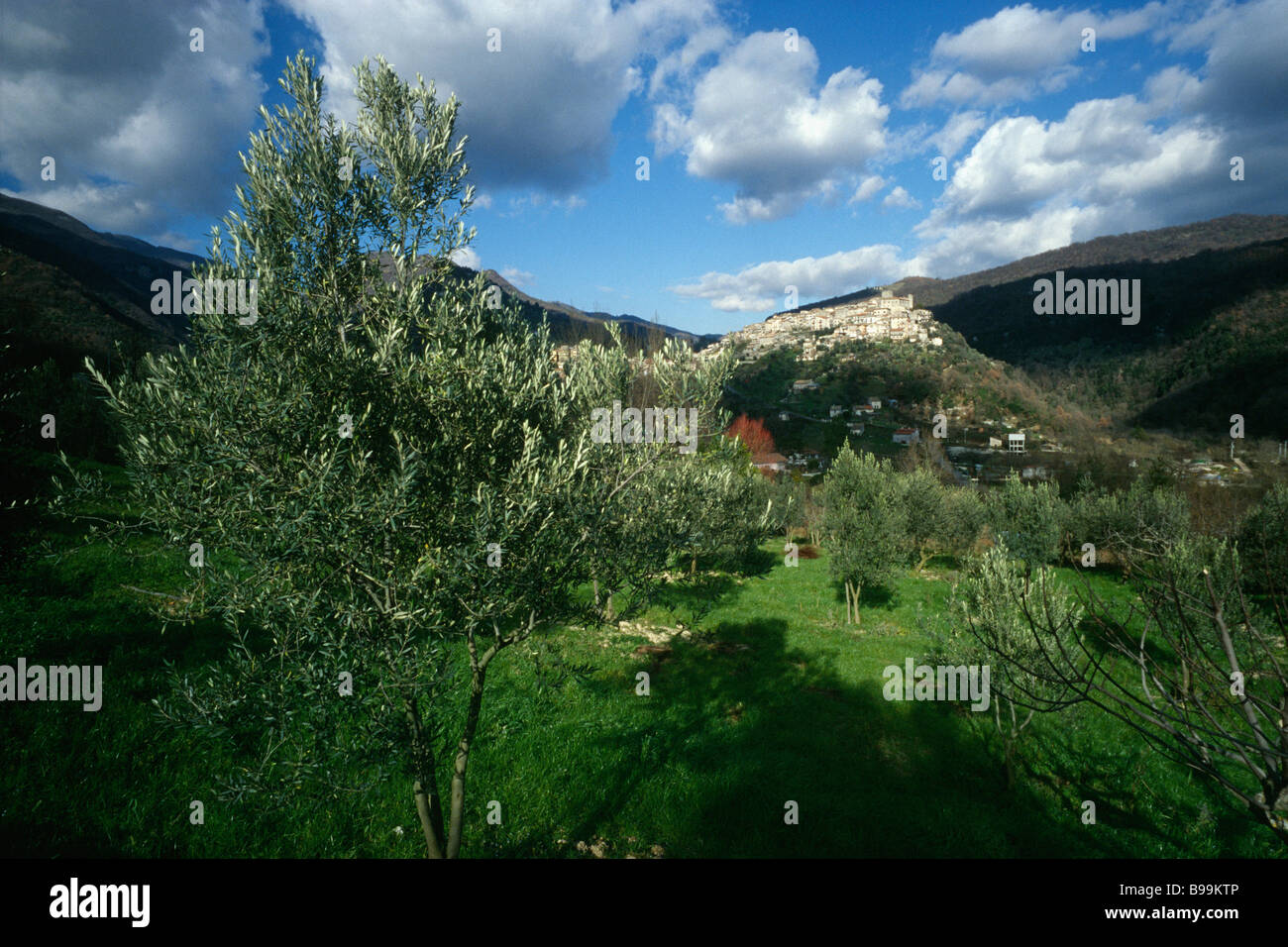 Licenza Lazio Italy The small hill town of Licenza overlooking olive groves Stock Photo