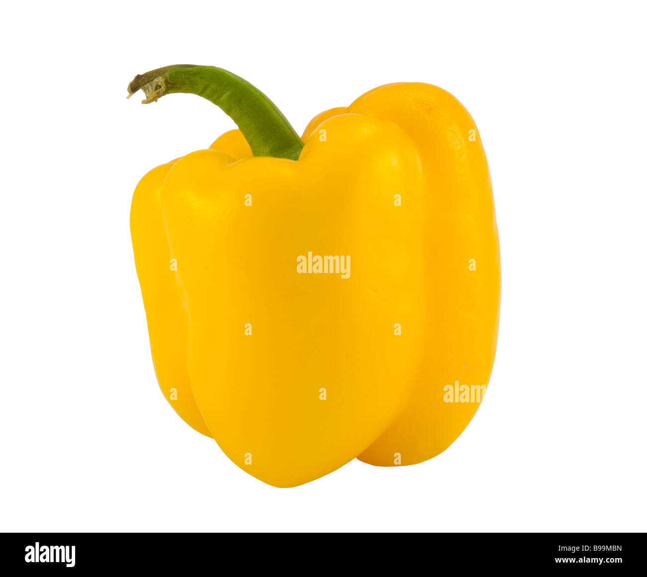 Single Peper Nutrition pepper plant Cut Out Stock Images & Pictures - Alamy
