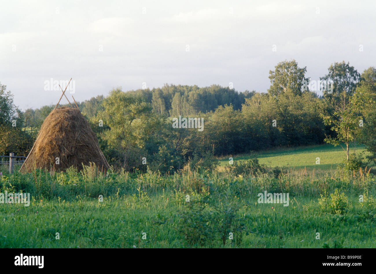Landscape in the Vladimir Region Stock Photo - Alamy