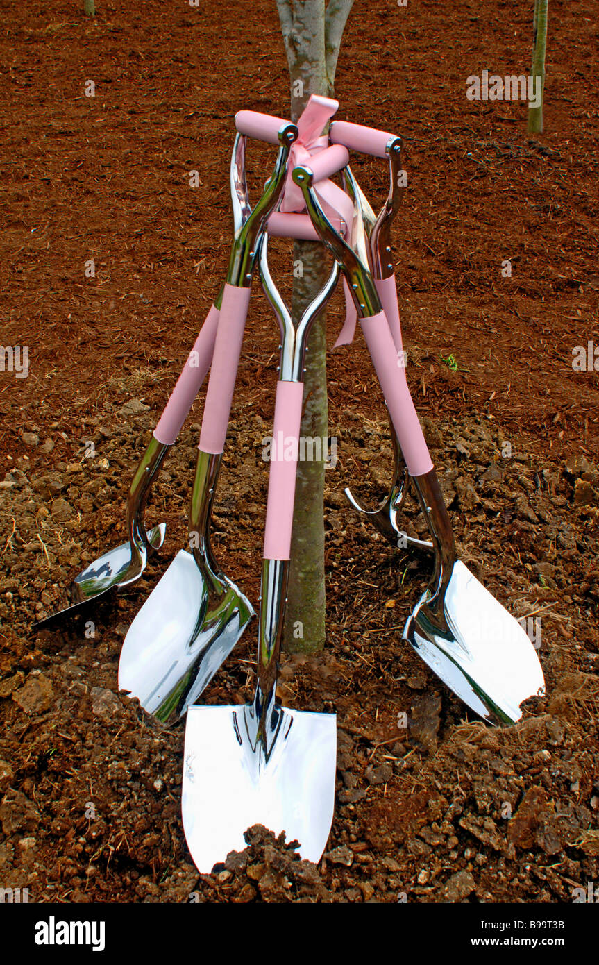 Arbor Day ribbons and shovels for ground breaking and tree planting ...